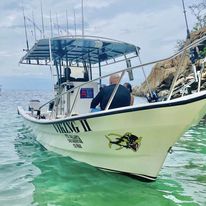 VIKING II (28fts)