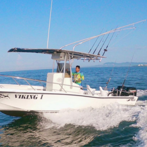 VIKING I (25fts)