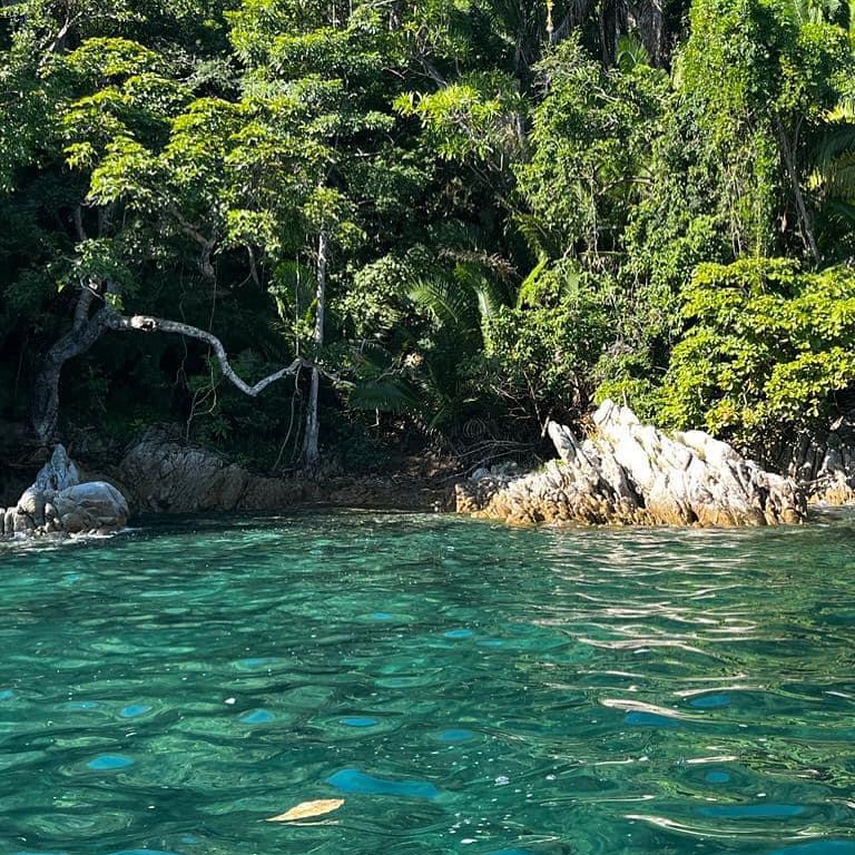 4hrs Hidden gems snorkeling - Image 4