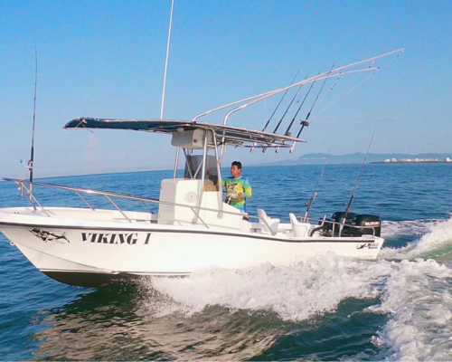 Viking I